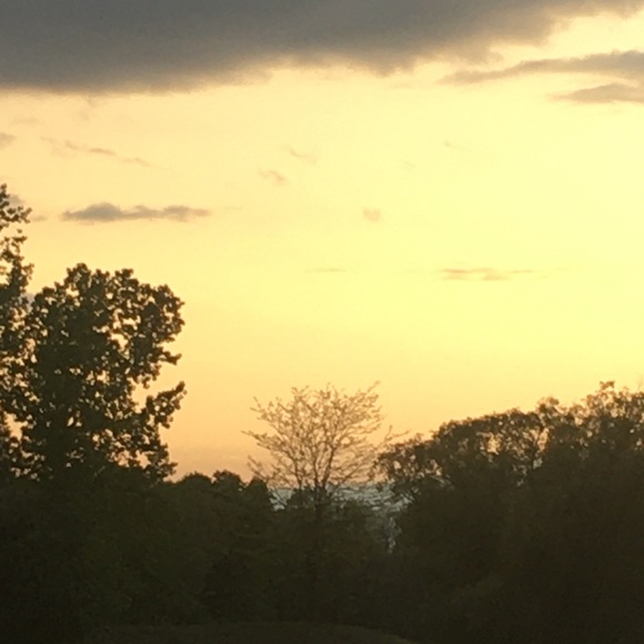 Meet your Posher, Bree - Picture 1 of 7